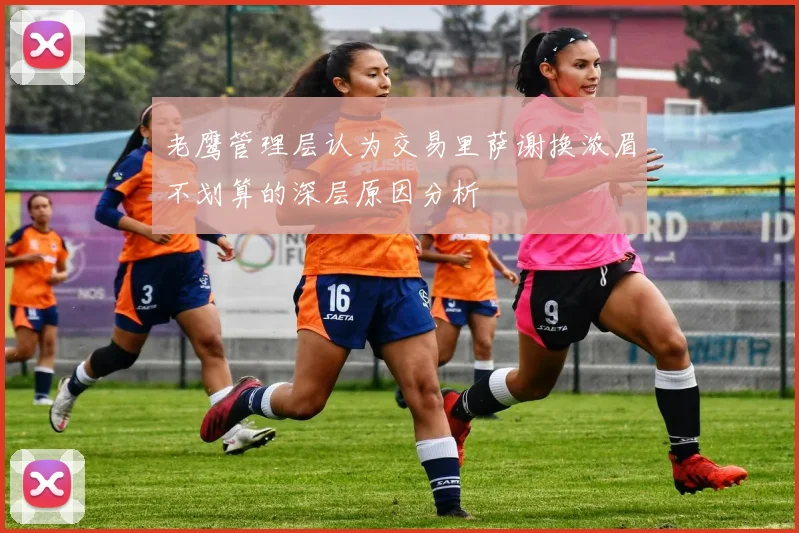 老鹰管理层认为交易里萨谢换浓眉不划算的深层原因分析