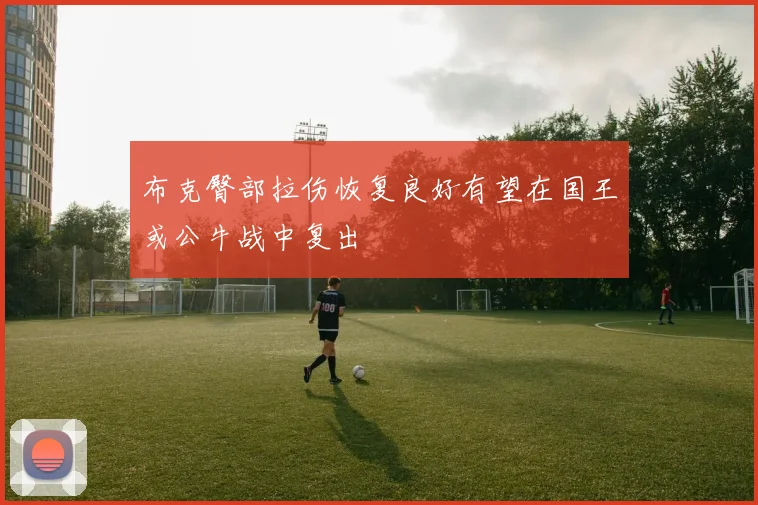 布克臀部拉伤恢复良好有望在国王或公牛战中复出