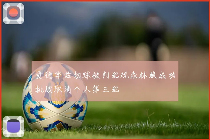 爱德华兹切球被判犯规森林狼成功挑战取消个人第三犯