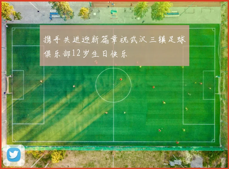 携手共进迎新篇章祝武汉三镇足球俱乐部12岁生日快乐