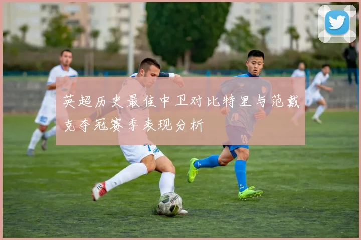 英超历史最佳中卫对比特里与范戴克夺冠赛季表现分析